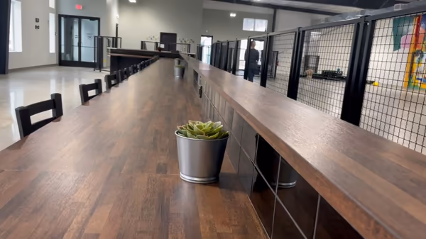 The Pack Indoor Dog Park